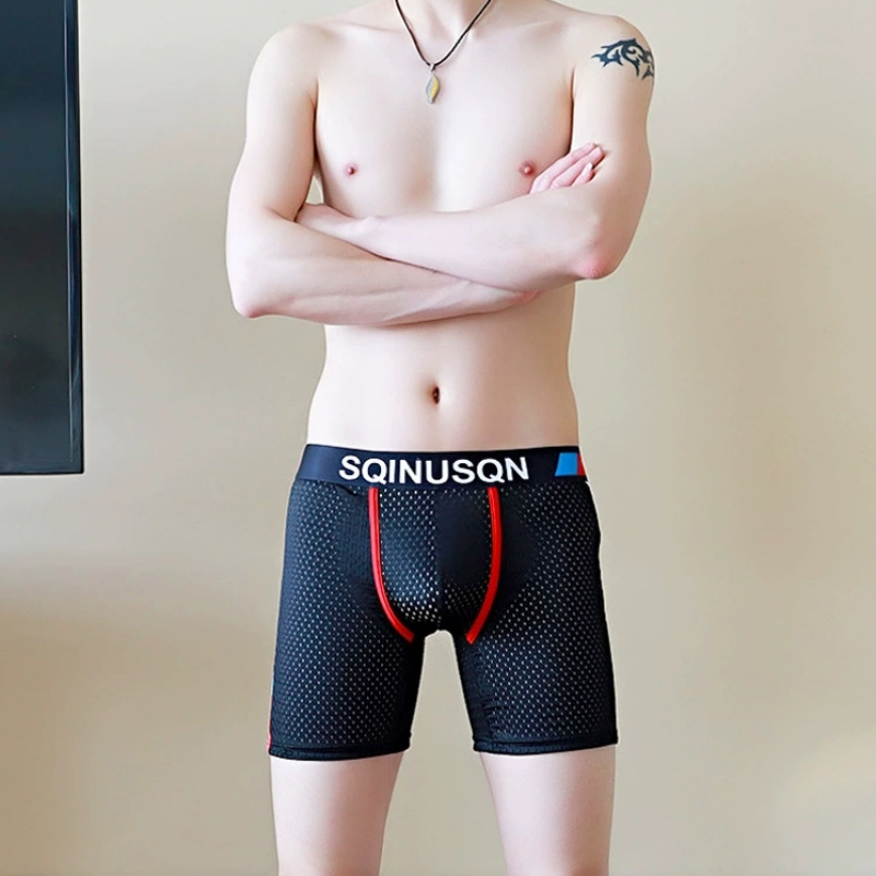 Men's Ice Silk Mesh Boxer Brie - đánh giá và giá Mesh Sport Boxer