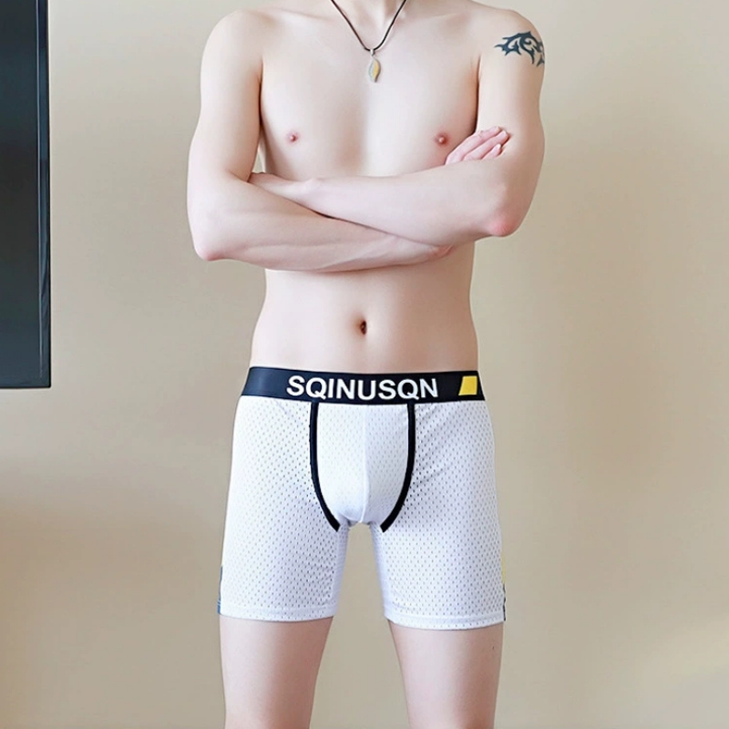 Men's Ice Silk Mesh Boxer Brie - đánh giá và giá Mesh Sport Boxer